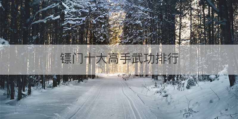 镖门十大高手武功排行