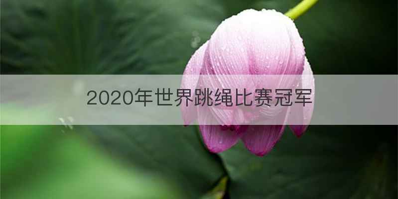 2020年世界跳绳比赛冠军