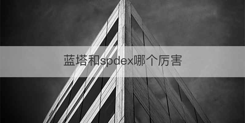 蓝塔和spdex哪个厉害