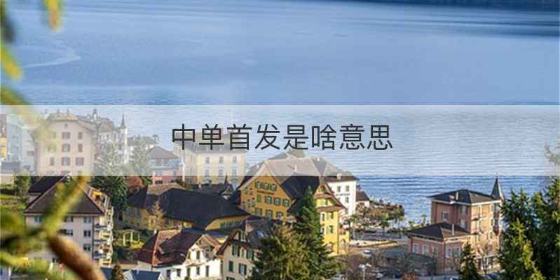 中单首发是啥意思