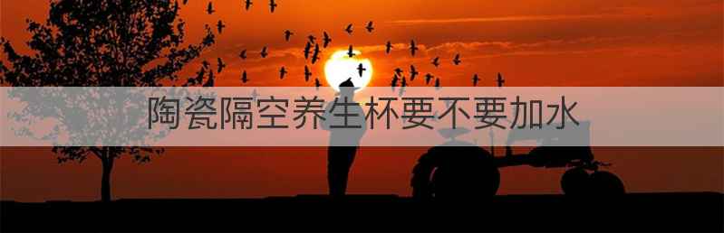 陶瓷隔空养生杯要不要加水