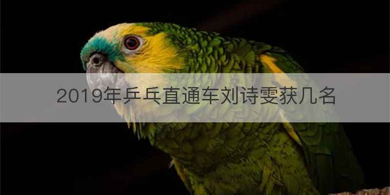 2019年乒乓直通车刘诗雯获几名