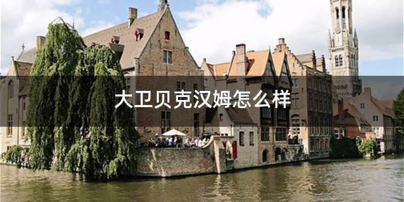 大卫贝克汉姆怎么样