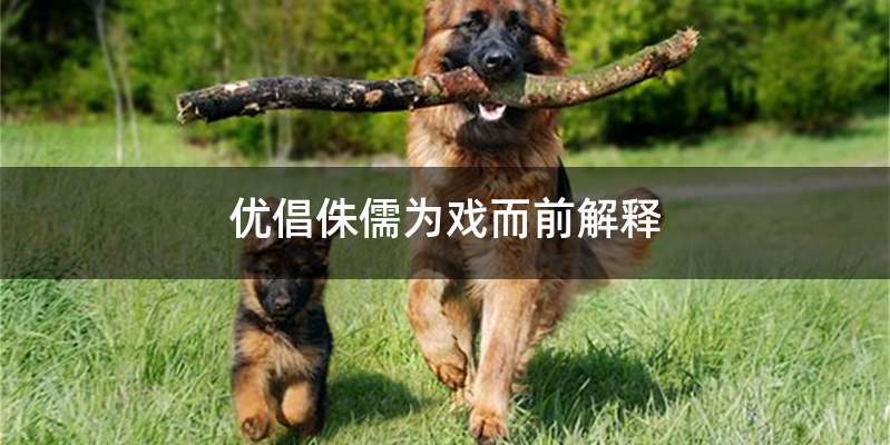 优倡侏儒为戏而前解释