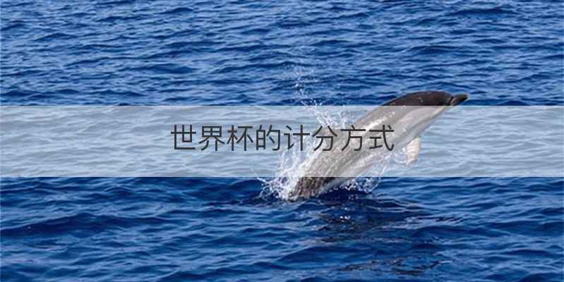 世界杯的计分方式