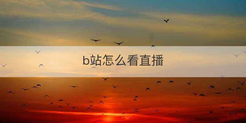 b站怎么看直播