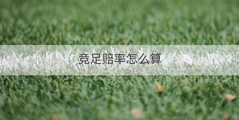 竞足赔率怎么算