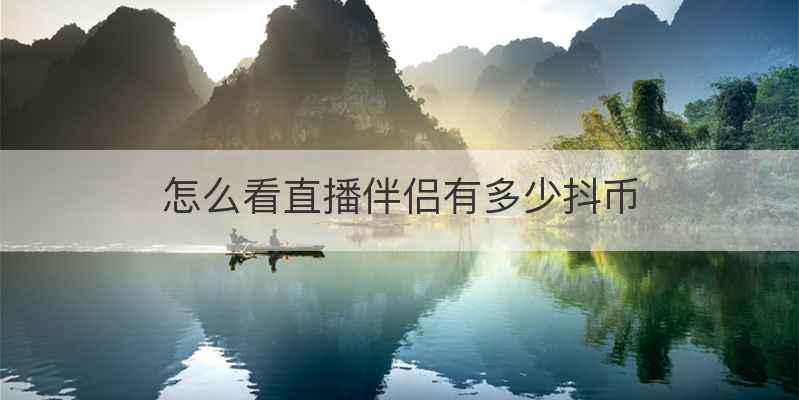 怎么看直播伴侣有多少抖币