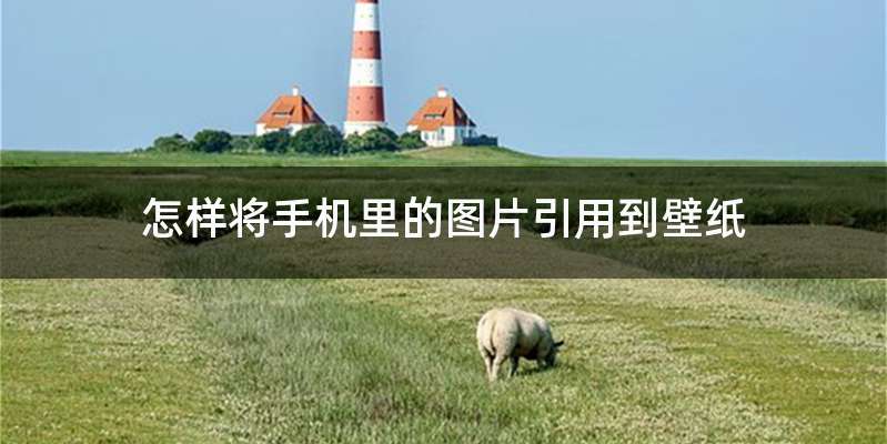 怎样将手机里的图片引用到壁纸