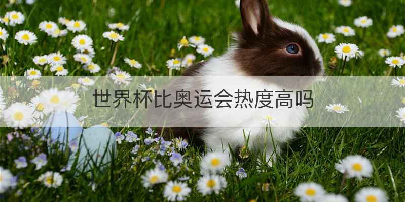 世界杯比奥运会热度高吗