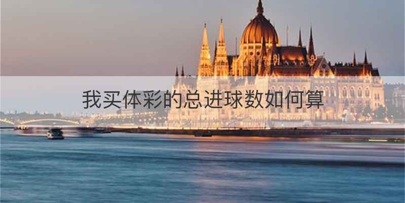 我买体彩的总进球数如何算
