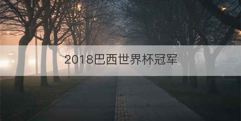 2018巴西世界杯冠军