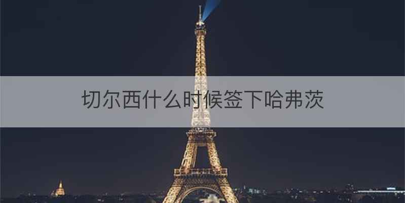 切尔西什么时候签下哈弗茨