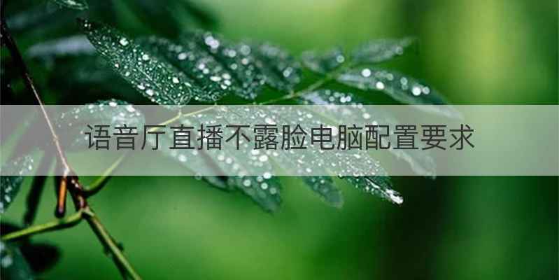 语音厅直播不露脸电脑配置要求