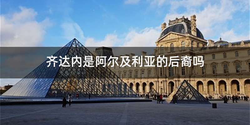 齐达内是阿尔及利亚的后裔吗