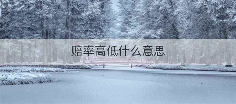 赔率高低什么意思