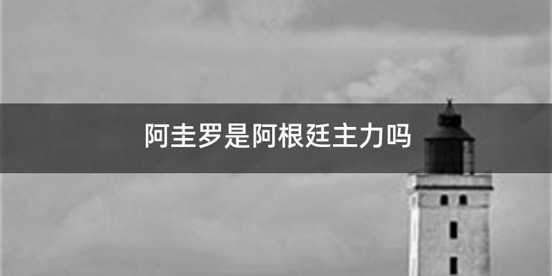 阿圭罗是阿根廷主力吗