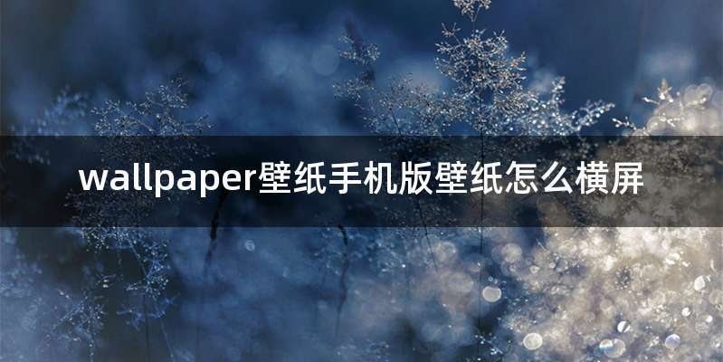 wallpaper壁纸手机版壁纸怎么横屏