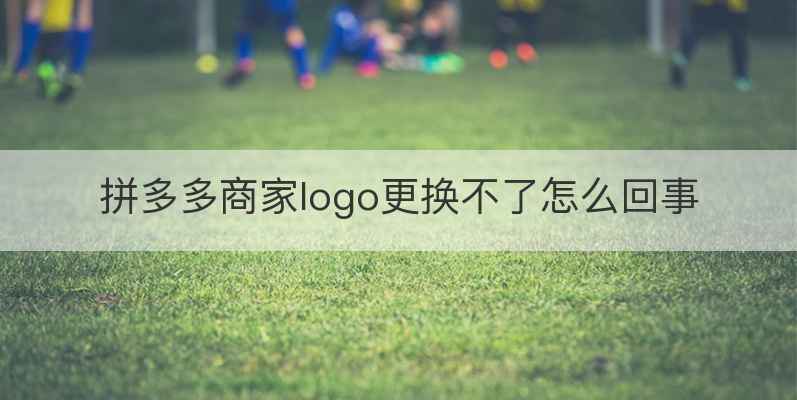 拼多多商家logo更换不了怎么回事