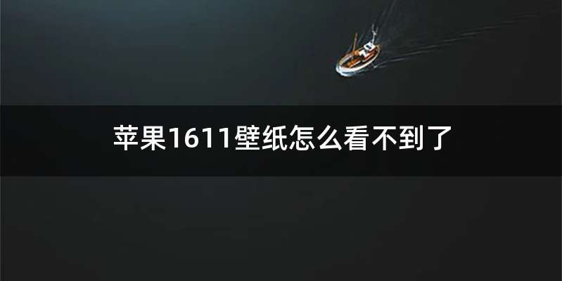 苹果1611壁纸怎么看不到了