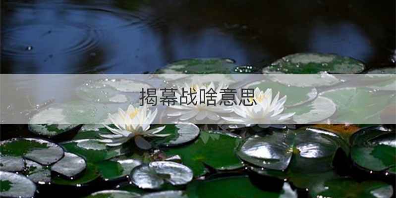 揭幕战啥意思