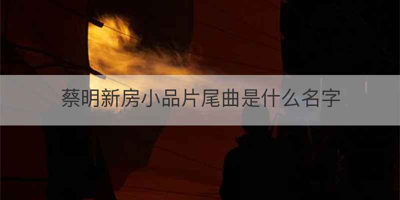 蔡明新房小品片尾曲是什么名字