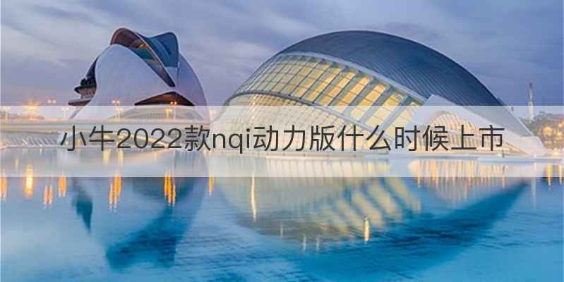 小牛2022款nqi动力版什么时候上市