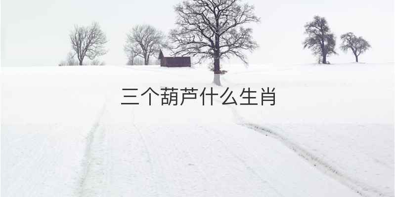 三个葫芦什么生肖