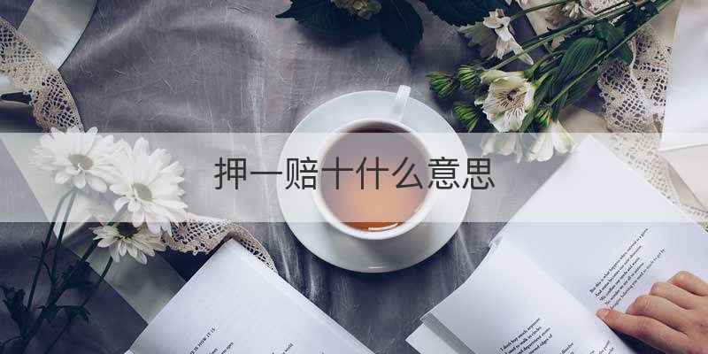 押一赔十什么意思