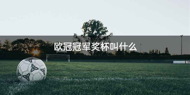 欧冠冠军奖杯叫什么