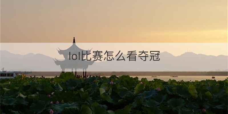 lol比赛怎么看夺冠