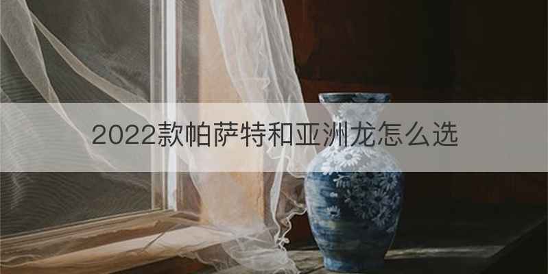 2022款帕萨特和亚洲龙怎么选