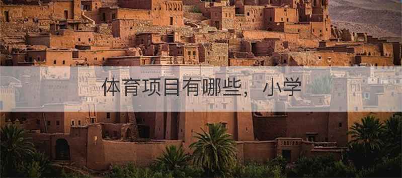 体育项目有哪些，小学