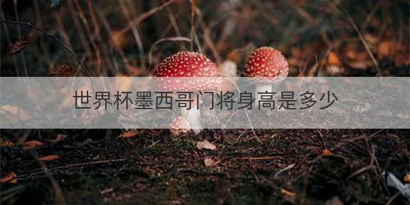 世界杯墨西哥门将身高是多少