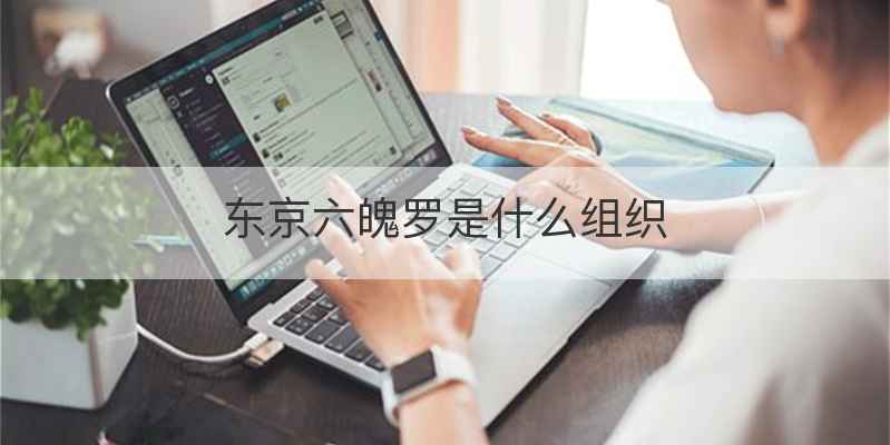 东京六魄罗是什么组织