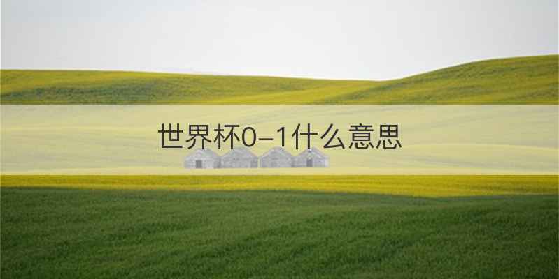 世界杯0-1什么意思