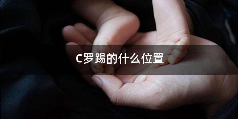 C罗踢的什么位置