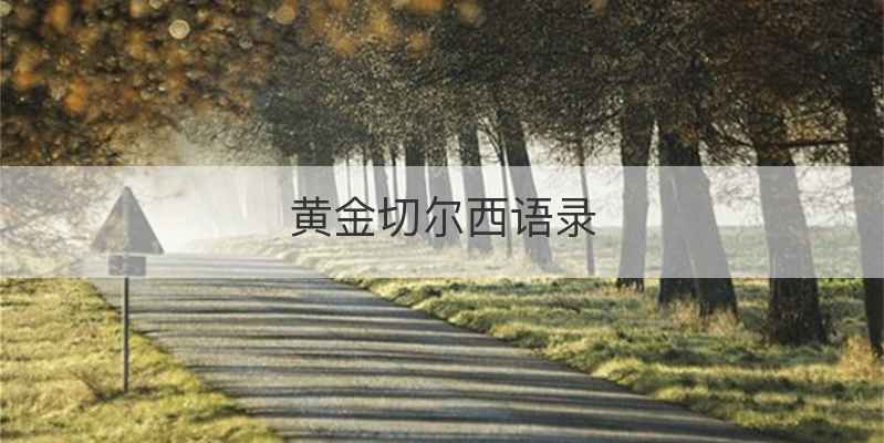 黄金切尔西语录