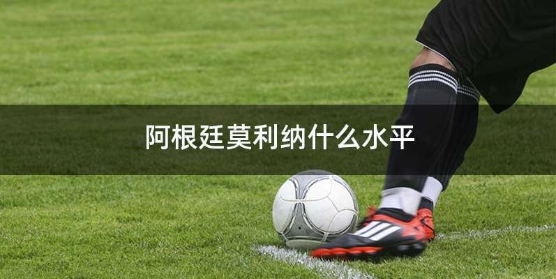 阿根廷莫利纳什么水平