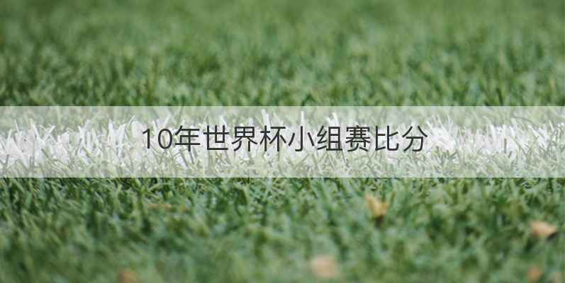 10年世界杯小组赛比分