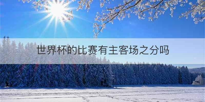 世界杯的比赛有主客场之分吗