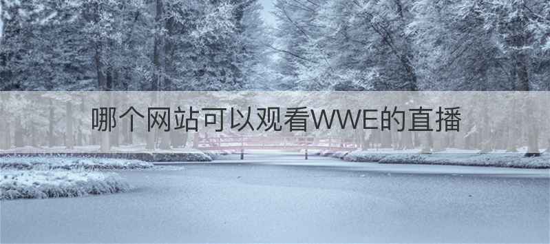 哪个网站可以观看WWE的直播