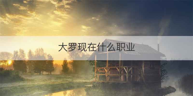 大罗现在什么职业