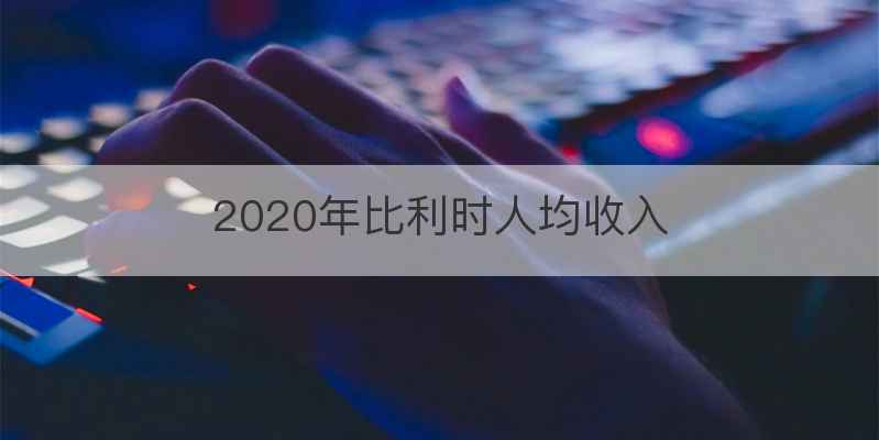 2020年比利时人均收入