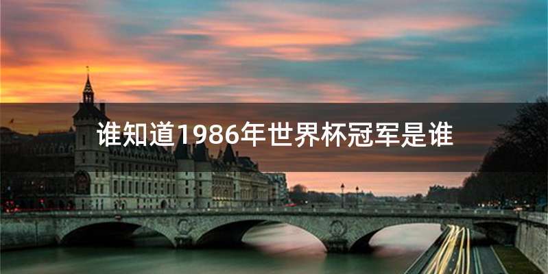 谁知道1986年世界杯冠军是谁
