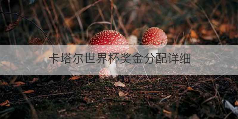 卡塔尔世界杯奖金分配详细