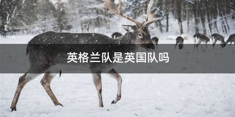 英格兰队是英国队吗