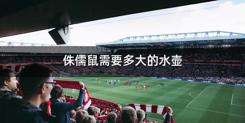 侏儒鼠需要多大的水壶