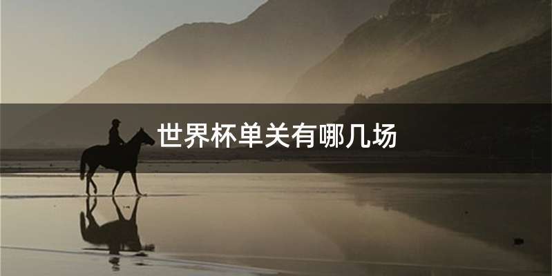 世界杯单关有哪几场