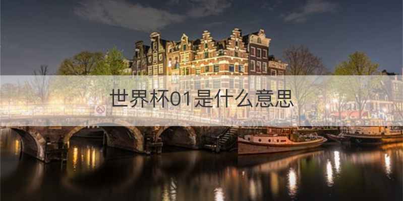 世界杯01是什么意思